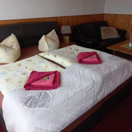 Pension Zur Elbe Wittenberg Экстерьер фото