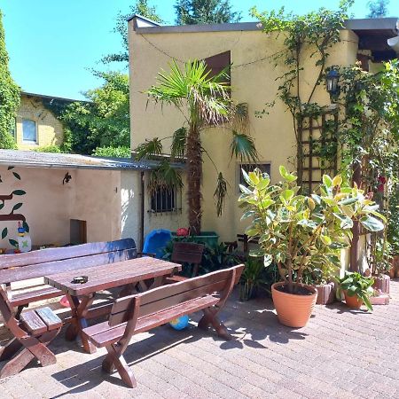 Pension Zur Elbe Wittenberg Экстерьер фото