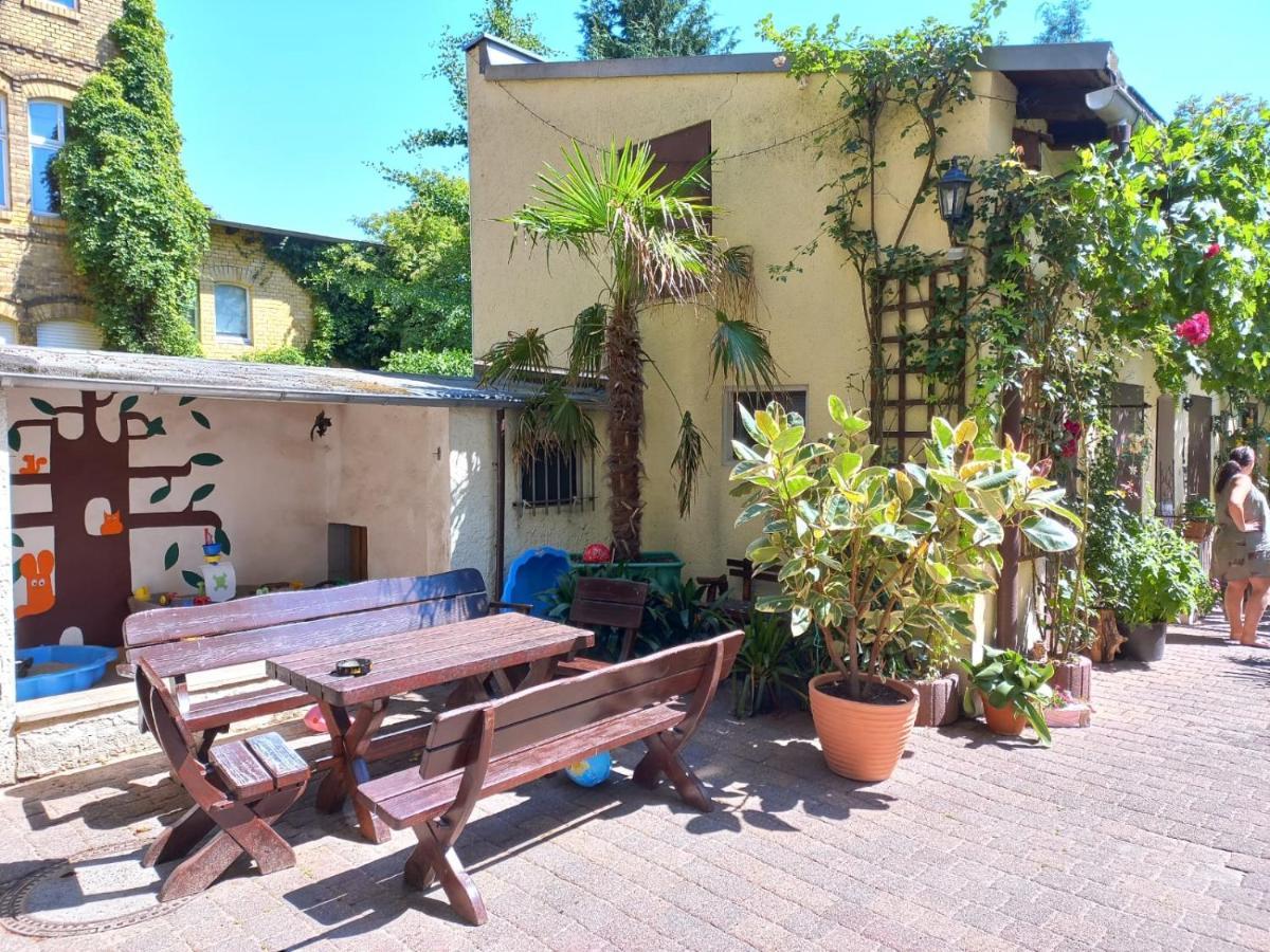 Pension Zur Elbe Wittenberg Экстерьер фото